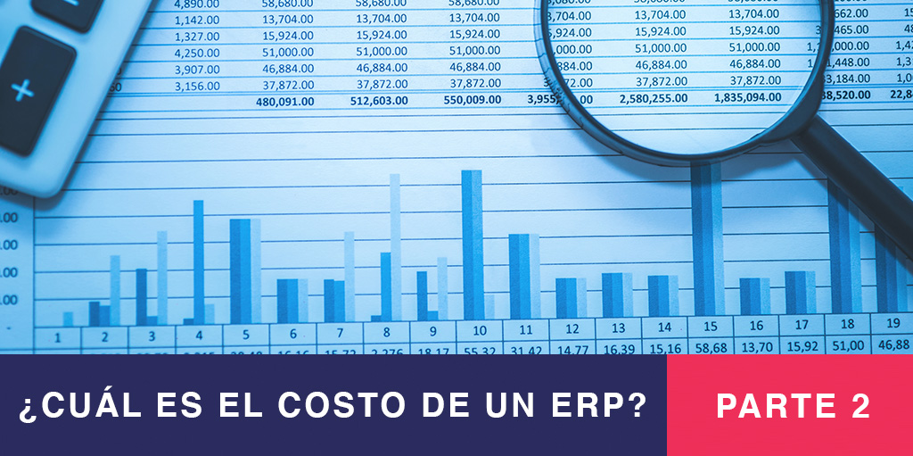 ¿Cuál es el Costo de un ERP? Parte 2