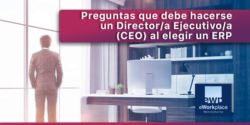 ERP para el CEO