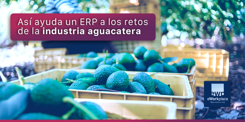 ERP para la industria aguacatera