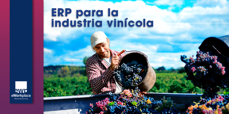 ERP para la industria vinícola