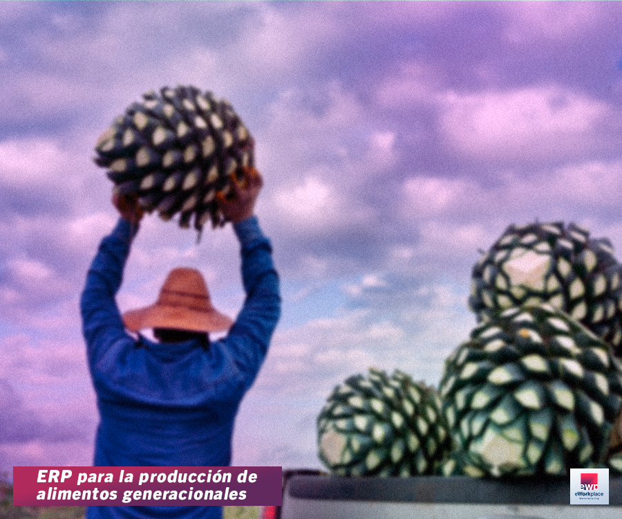 ERP para la producción de alimentos generacionales