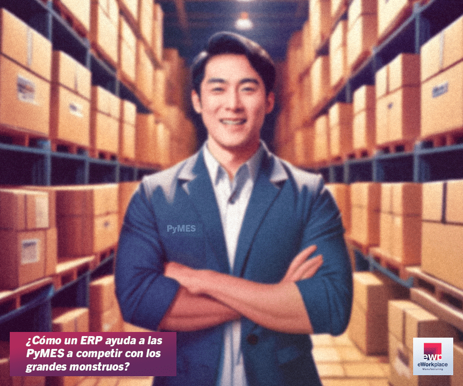ERP para PyMEs