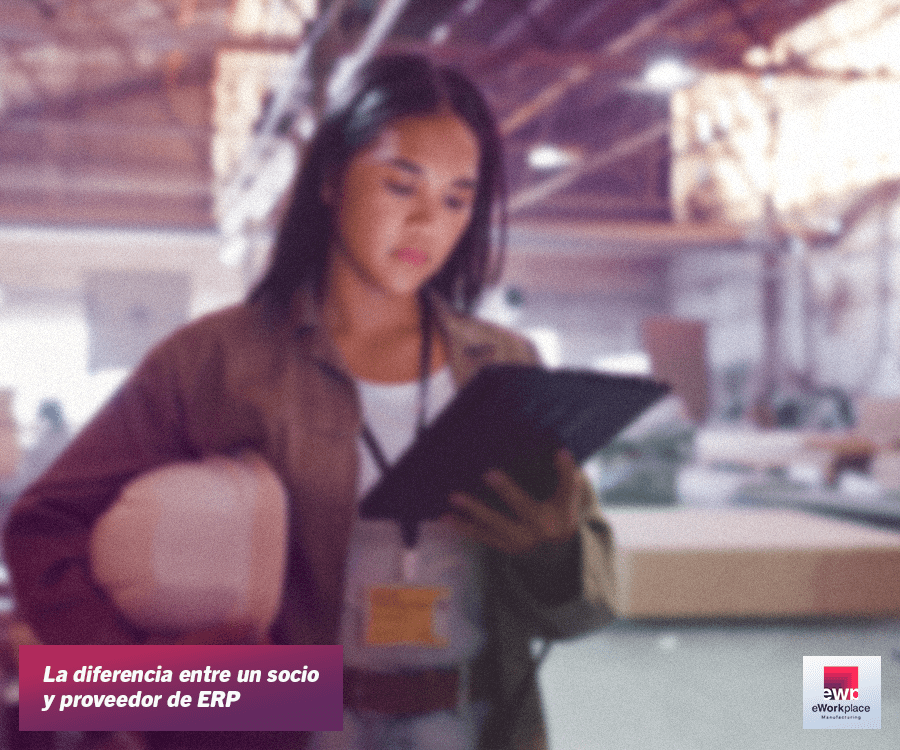 Proveedor ERP y Socio ERP
